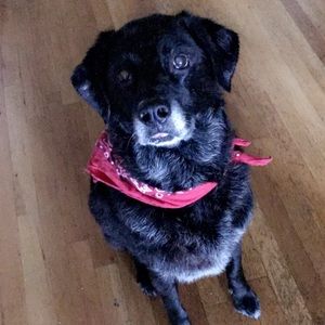 Meet your Posher, Catherine